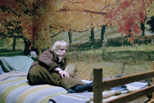 Let The Right One In